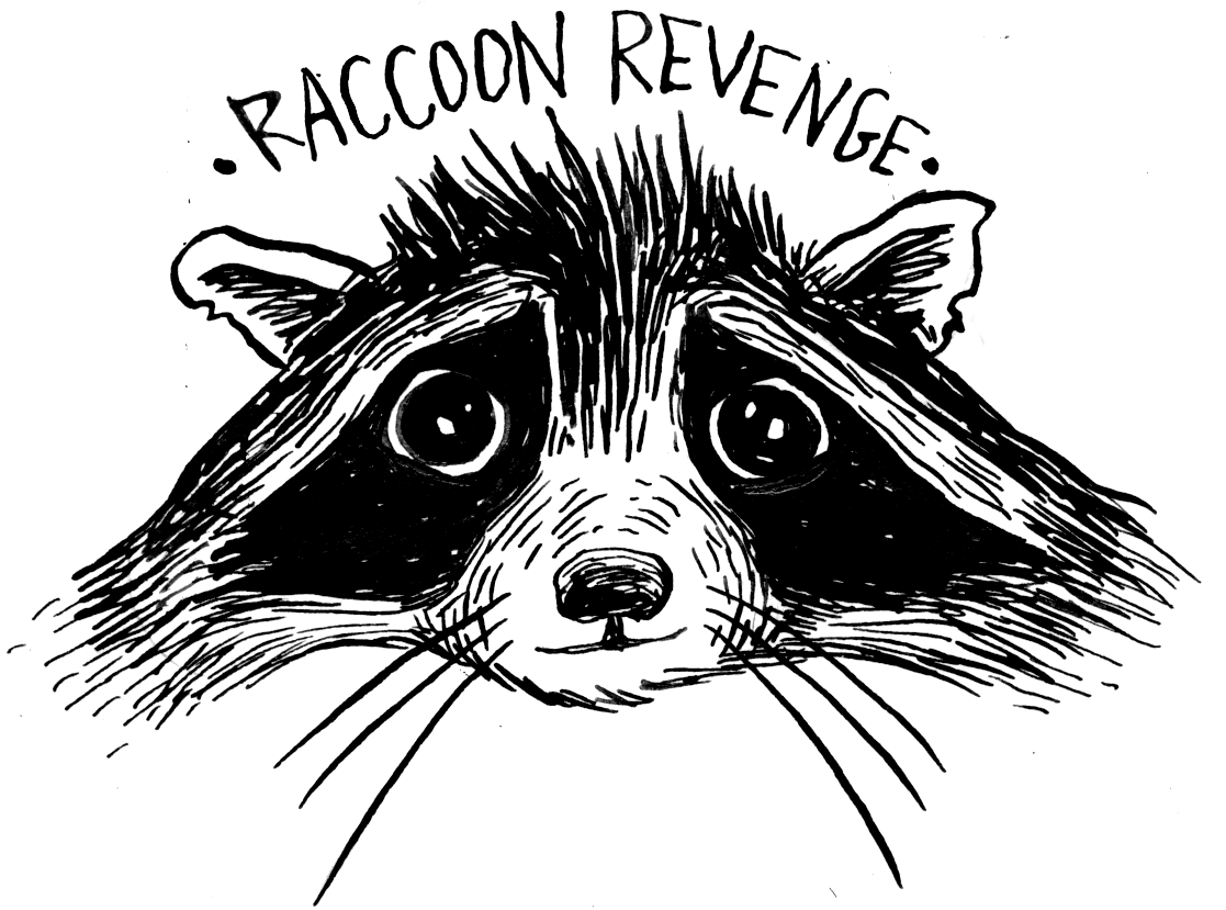Raccoon Revenge